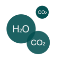 CO2 and H2O